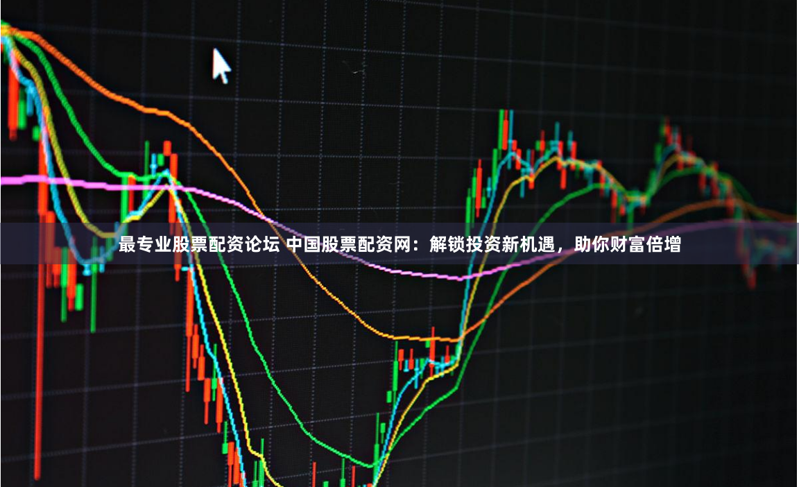 最专业股票配资论坛 中国股票配资网:解锁投资新机遇,助你财富倍增