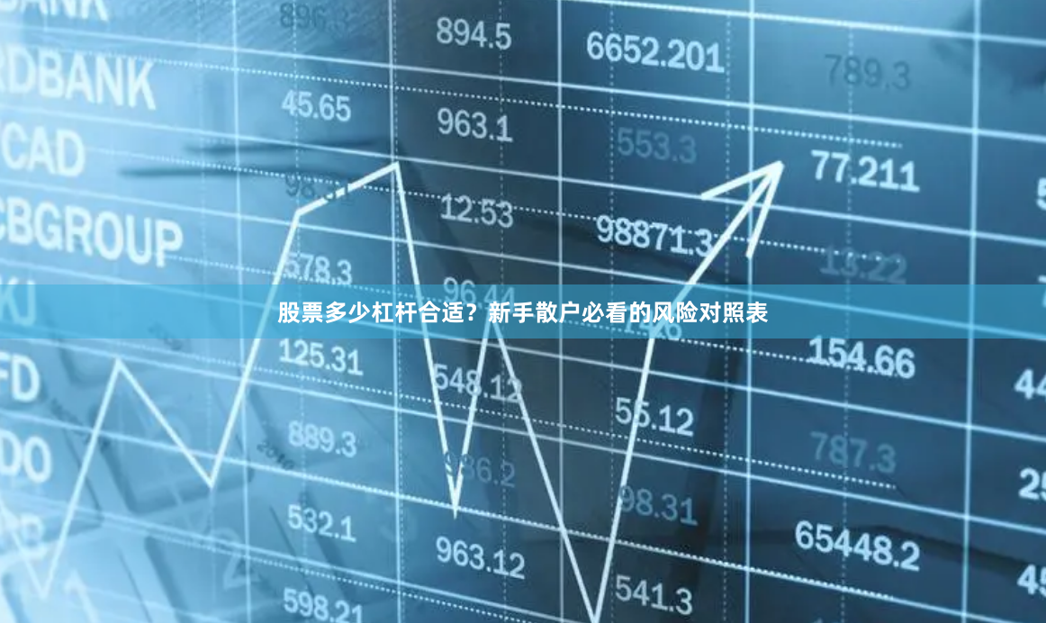 股票多少杠杆合适？新手散户必看的风险对照表