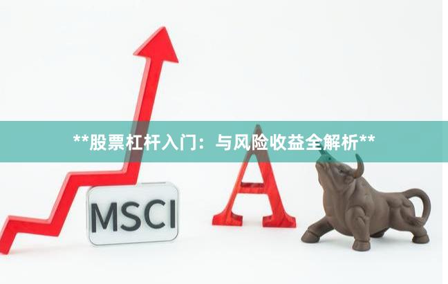 **股票杠杆入门：与风险收益全解析**